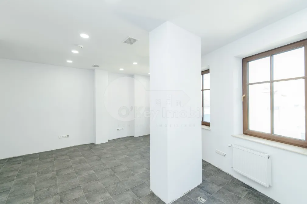 Oficiu, Centru, BOGDAN PETRICEICU HAȘDEU