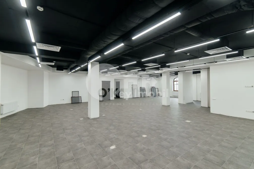 Oficiu, Centru, BOGDAN PETRICEICU HAȘDEU