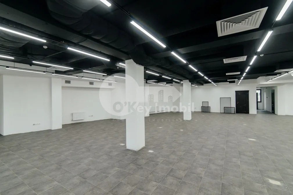 Oficiu, Centru, BOGDAN PETRICEICU HAȘDEU