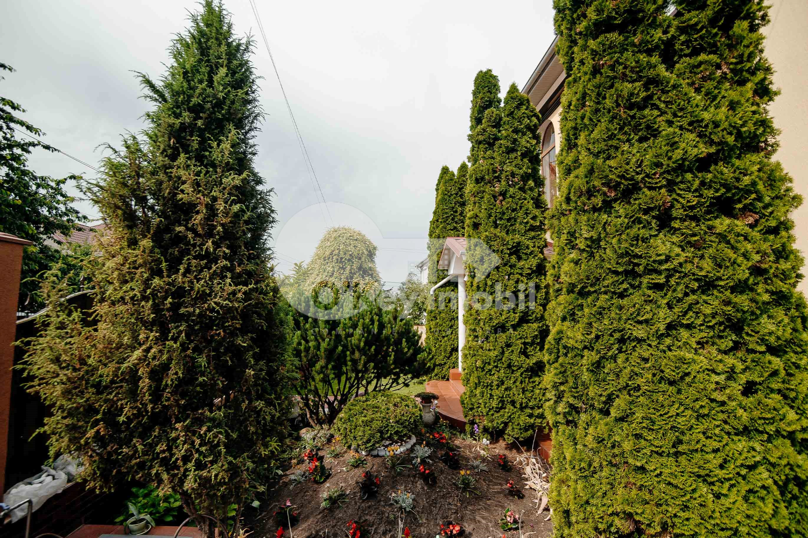 Casă, Râșcani, ZAMOLXE