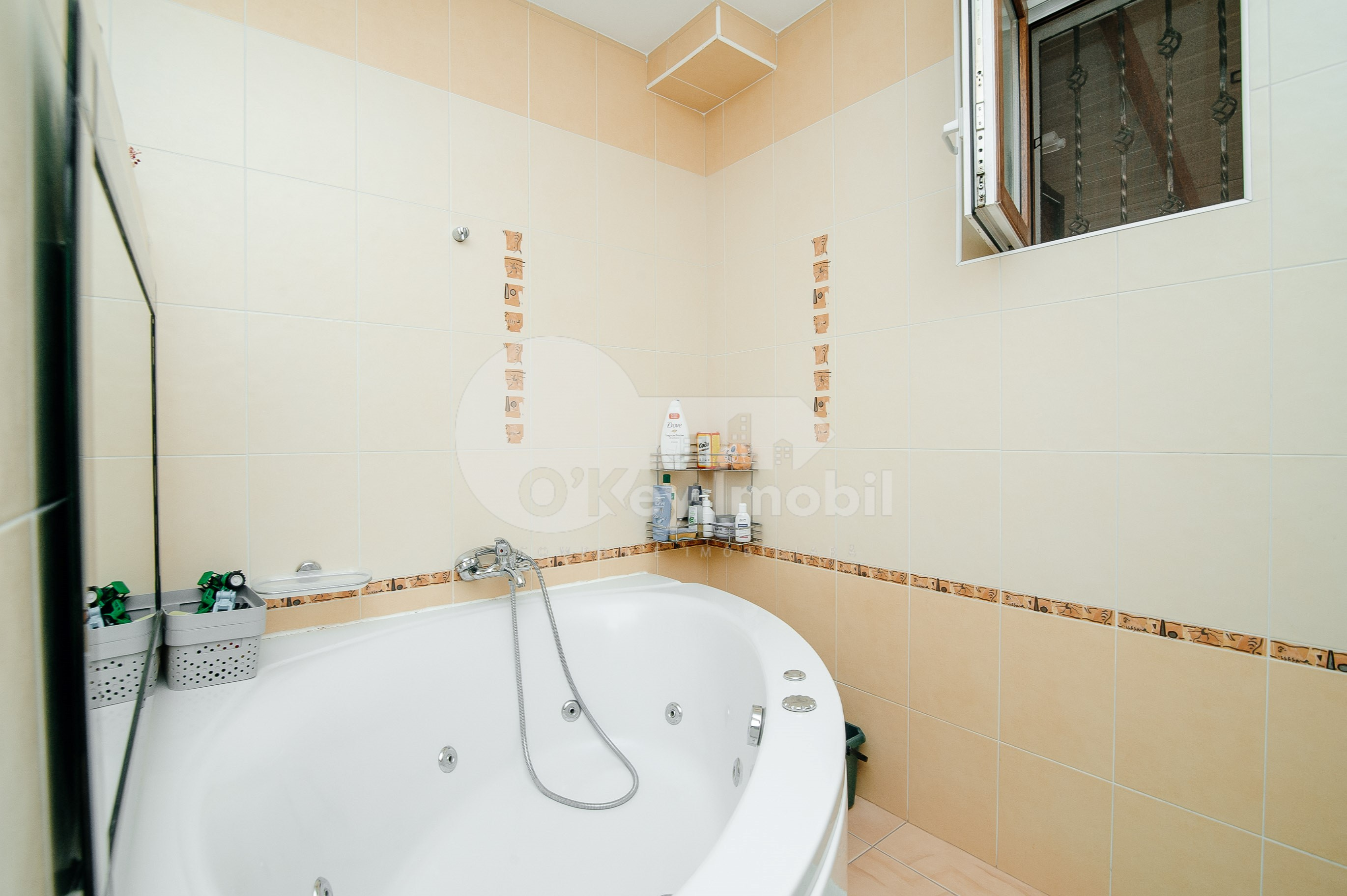 Casă, Râșcani, ZAMOLXE