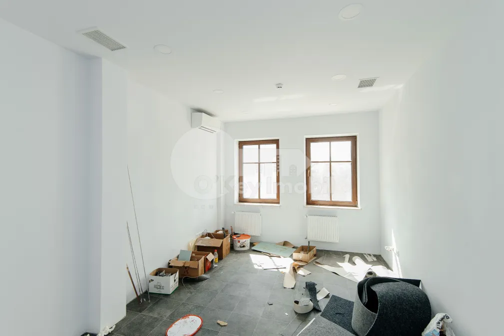 Oficiu, Centru, BOGDAN PETRICEICU HAȘDEU