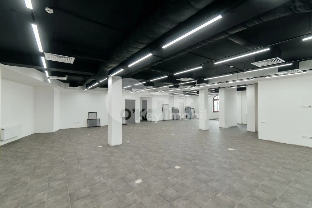 Oficiu, Centru, BOGDAN PETRICEICU HAȘDEU