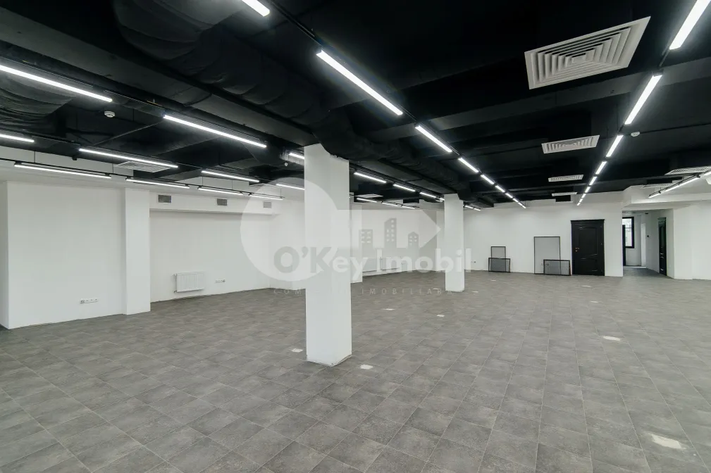 Oficiu, Centru, BOGDAN PETRICEICU HAȘDEU