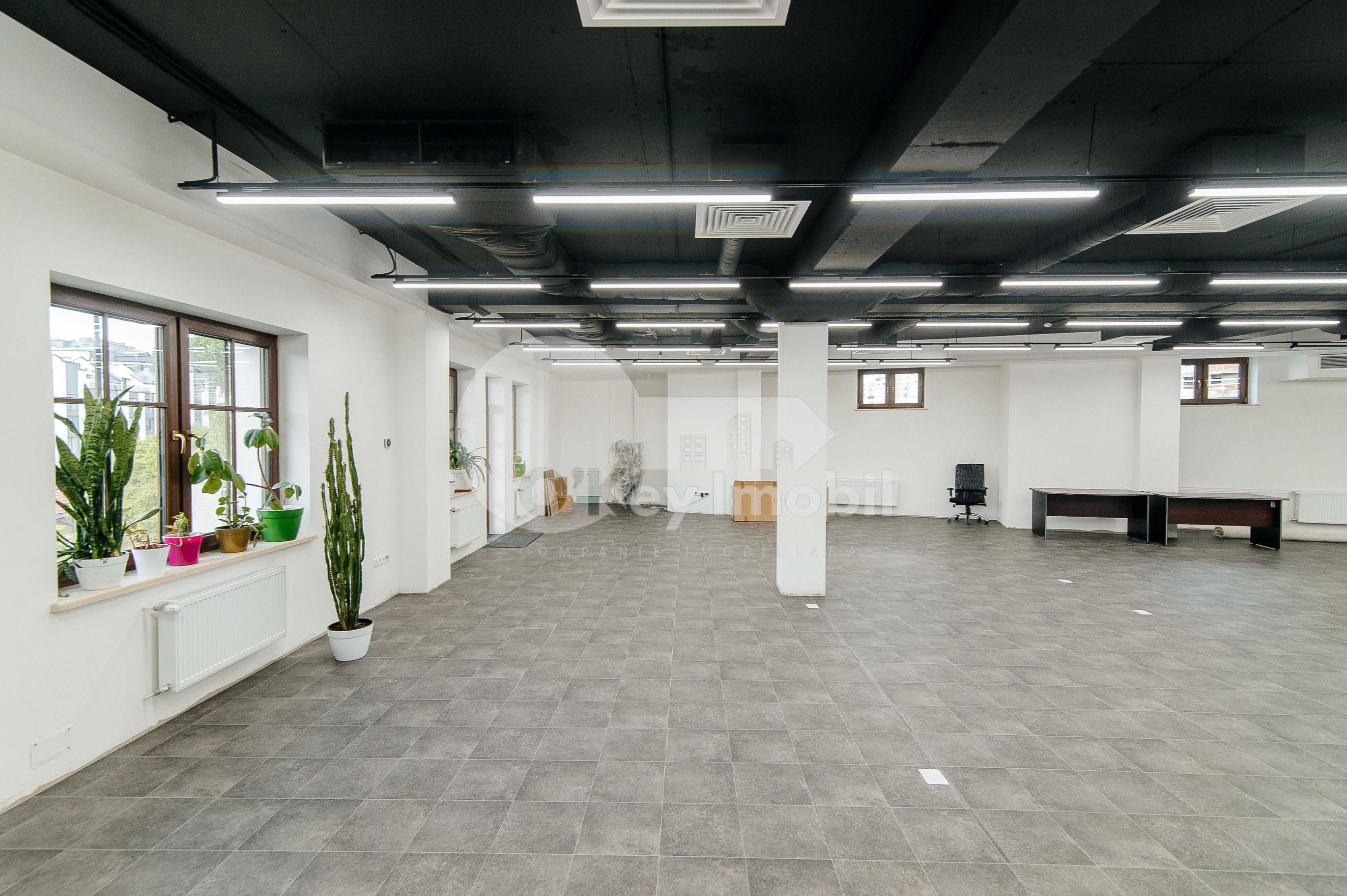 Oficiu, Centru, BOGDAN PETRICEICU HAȘDEU