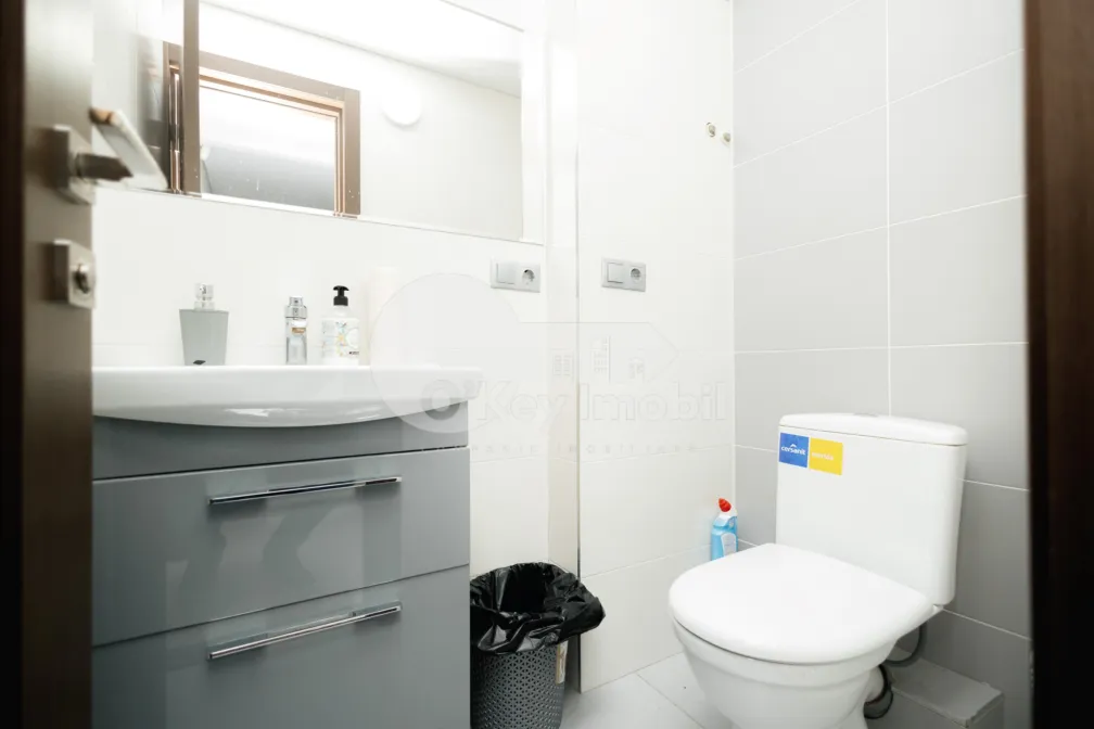 Oficiu, Centru, GRIGORE VIERU