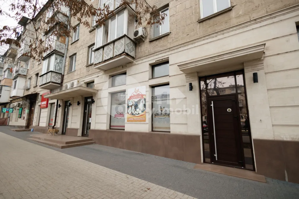 Oficiu, Centru, GRIGORE VIERU