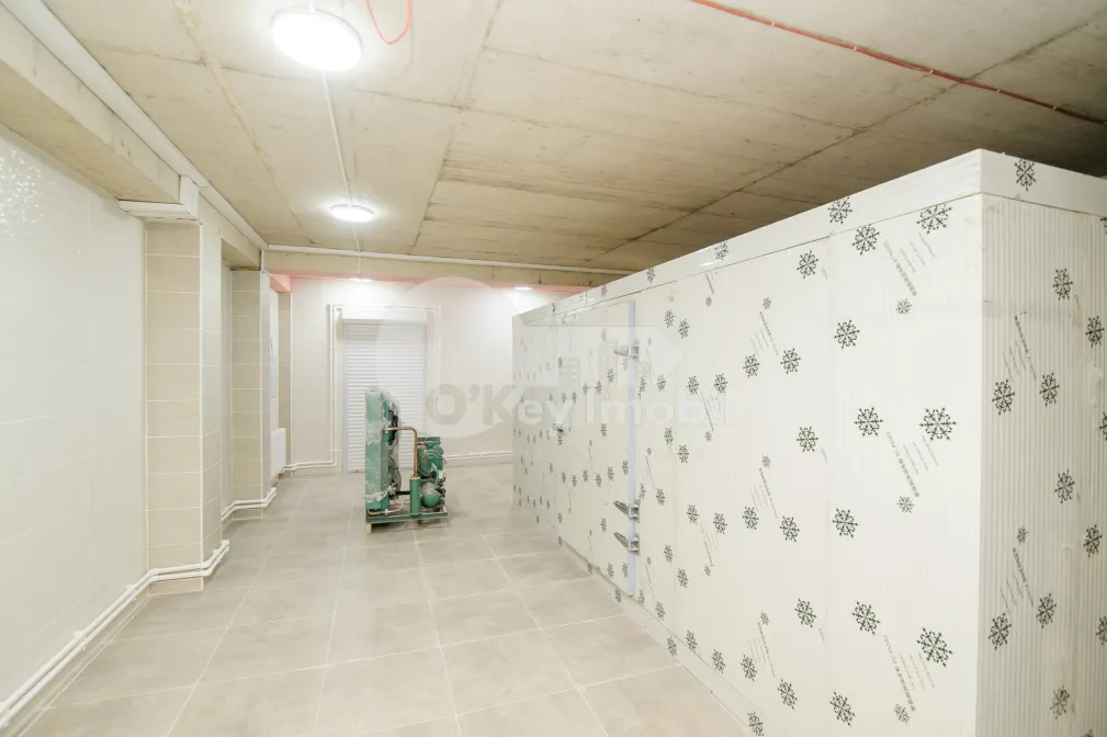 Пом. для производства, ОРХЕЙ