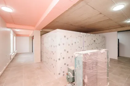 Пом. для производства, ОРХЕЙ