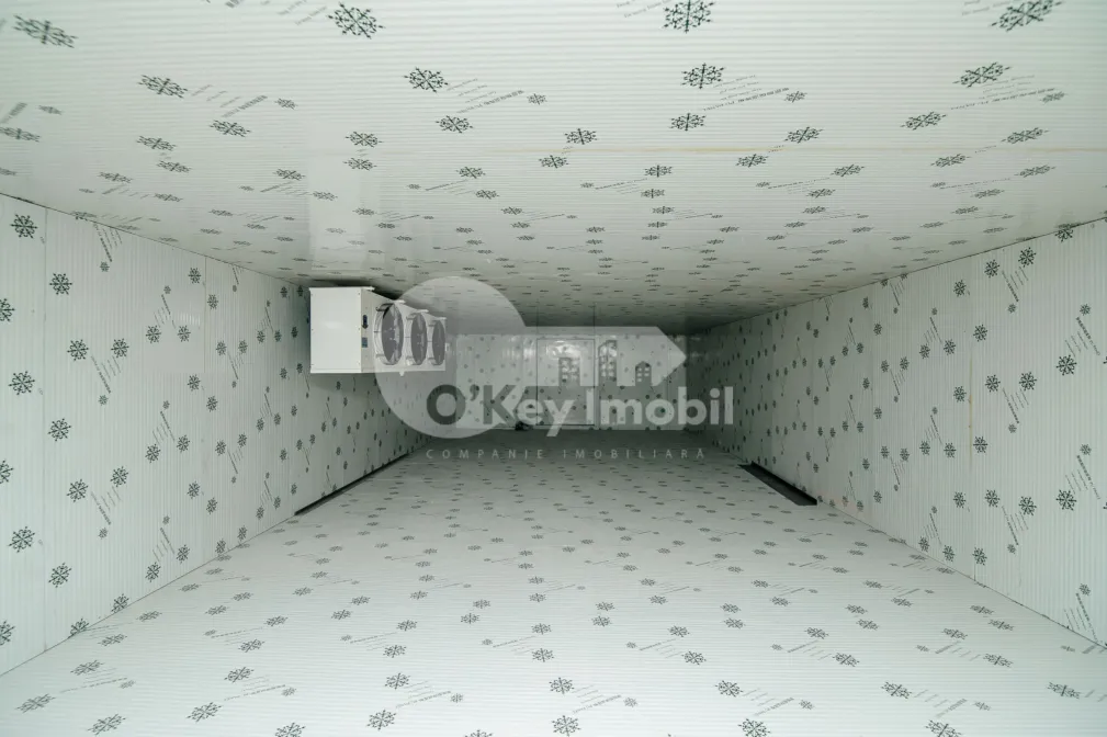 Пом. для производства, ОРХЕЙ