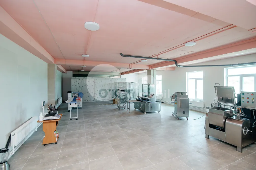 Пом. для производства, ОРХЕЙ