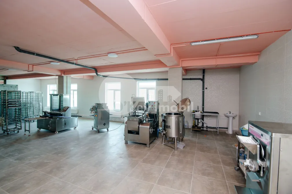 Пом. для производства, ОРХЕЙ