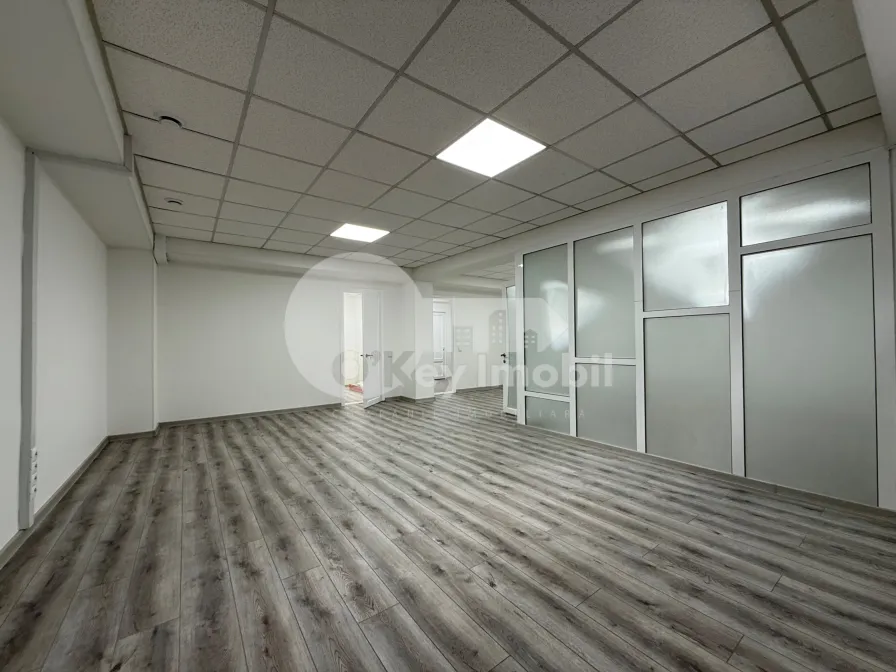 Офис, Центр, ПЕТРУ РАРЕШ