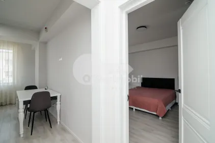 Квартира, Телецентр, ПИЕТРАРИЛОР