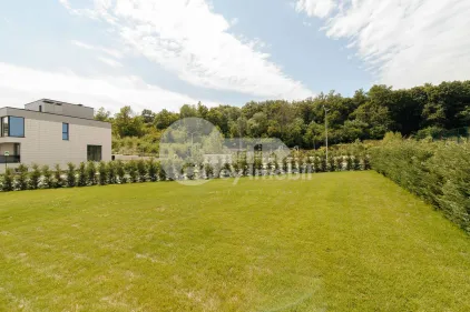 Дом, Ботаника, ПЭШУНИЛОР