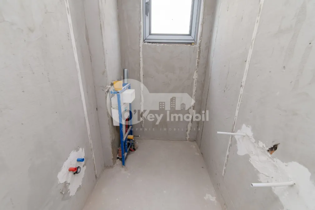 Дом, Ботаника, ПЭШУНИЛОР