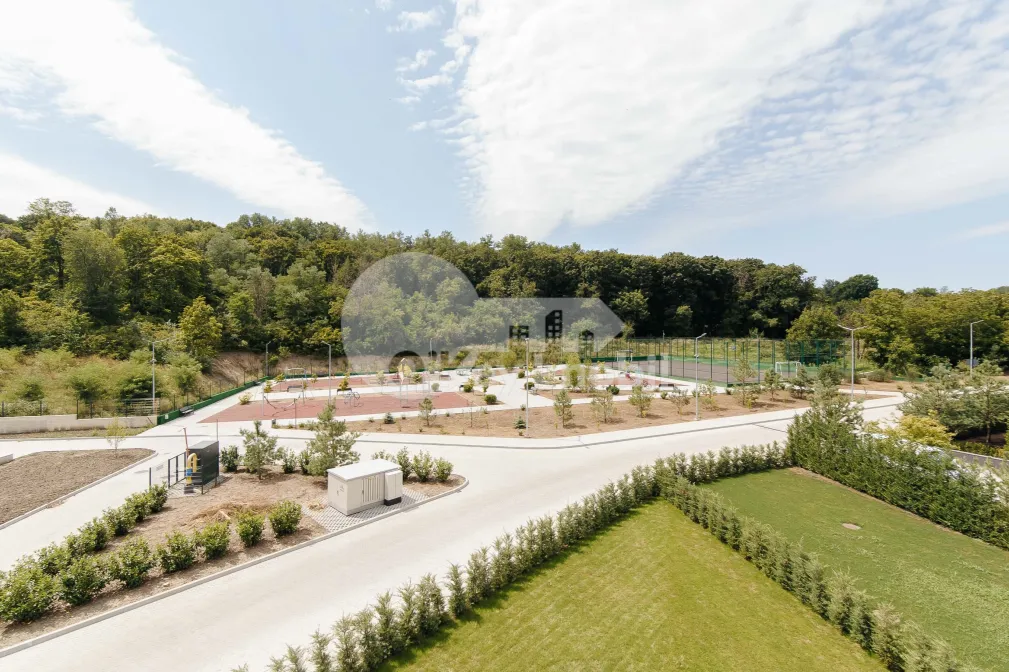 Дом, Ботаника, ПЭШУНИЛОР