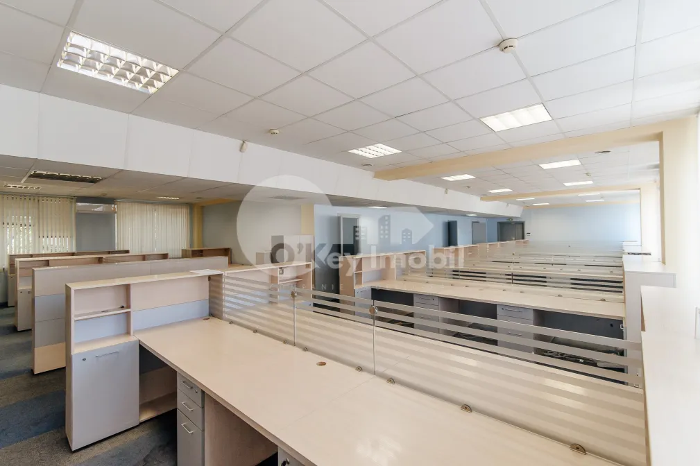 Офис, Буюканы, ИОН КРЯНГЭ