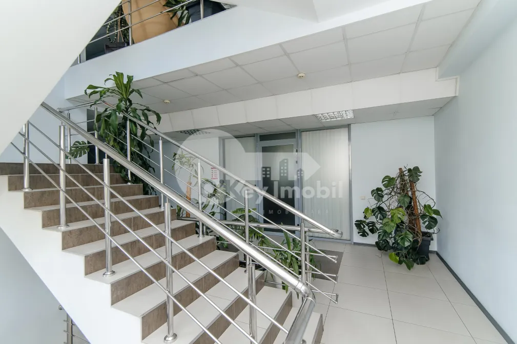 Офис, Буюканы, ИОН КРЯНГЭ