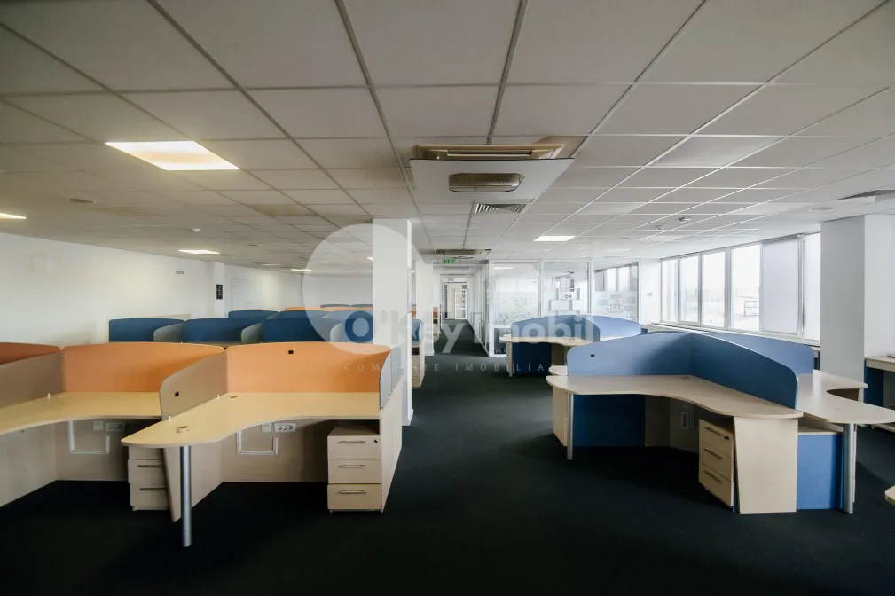 Офис, Буюканы, КАЛЯ ЕШИЛОР