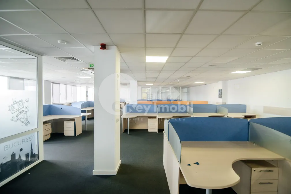 Офис, Буюканы, КАЛЯ ЕШИЛОР