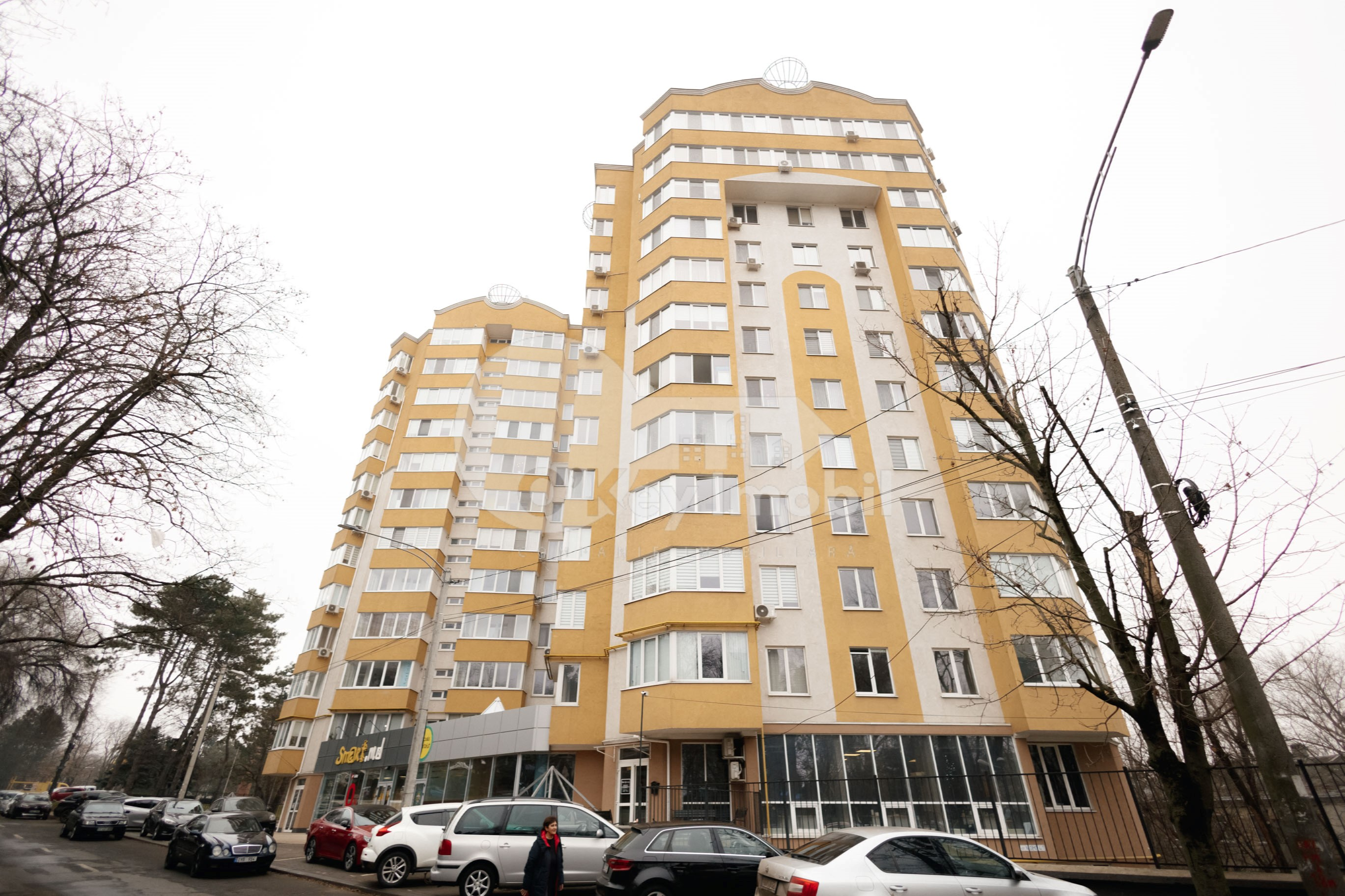 Oficiu, Râșcani, NICOLAE DIMO