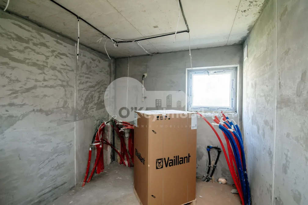 Дом, Ботаника, ПЭШУНИЛОР