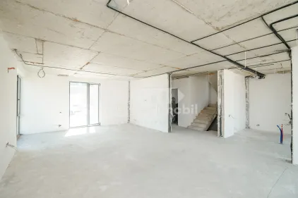 Дом, Ботаника, ПЭШУНИЛОР