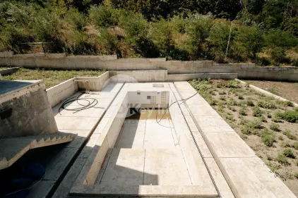 Дом, Ботаника, ПЭШУНИЛОР