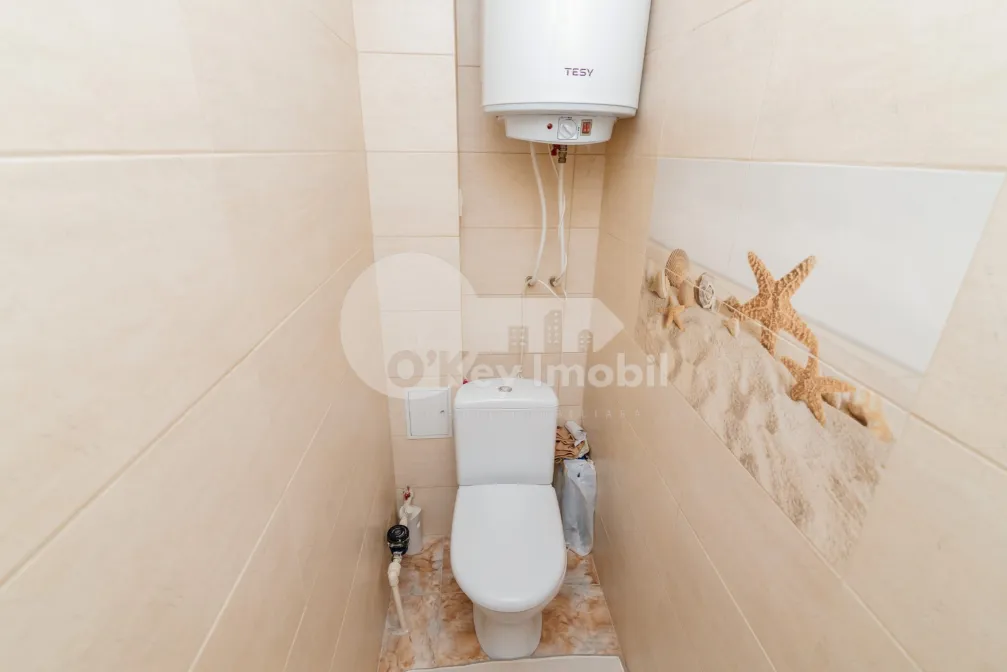 Apartament, Botanica