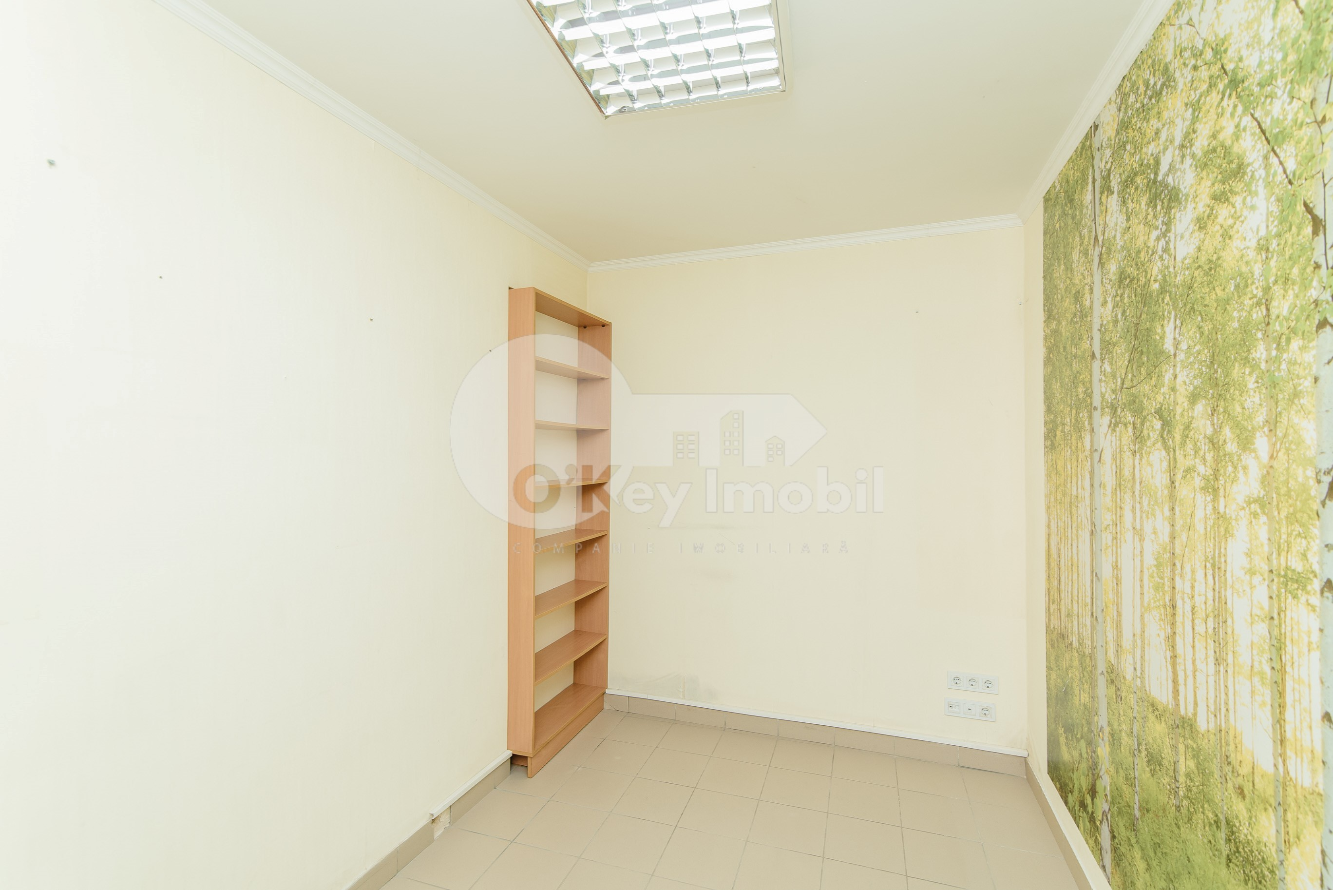 Spațiu comercial, Centru, ALBIȘOARA