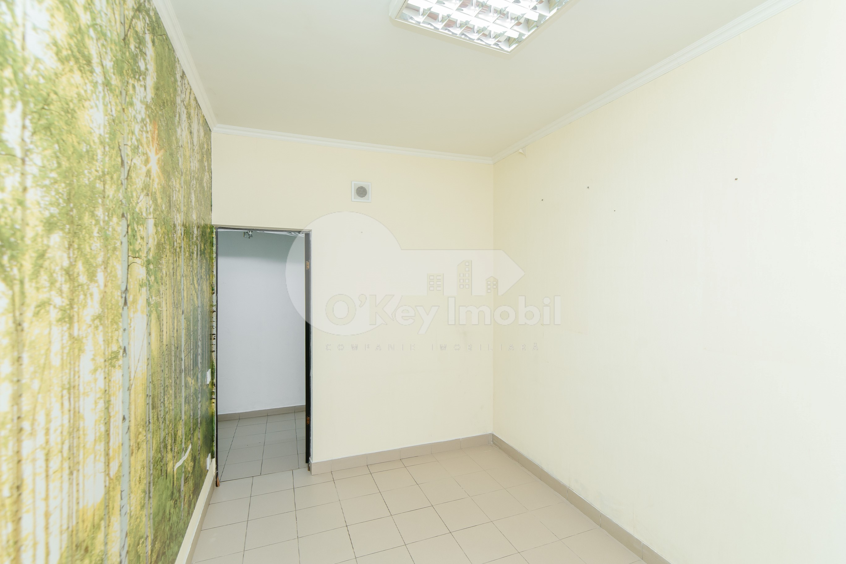 Spațiu comercial, Centru, ALBIȘOARA