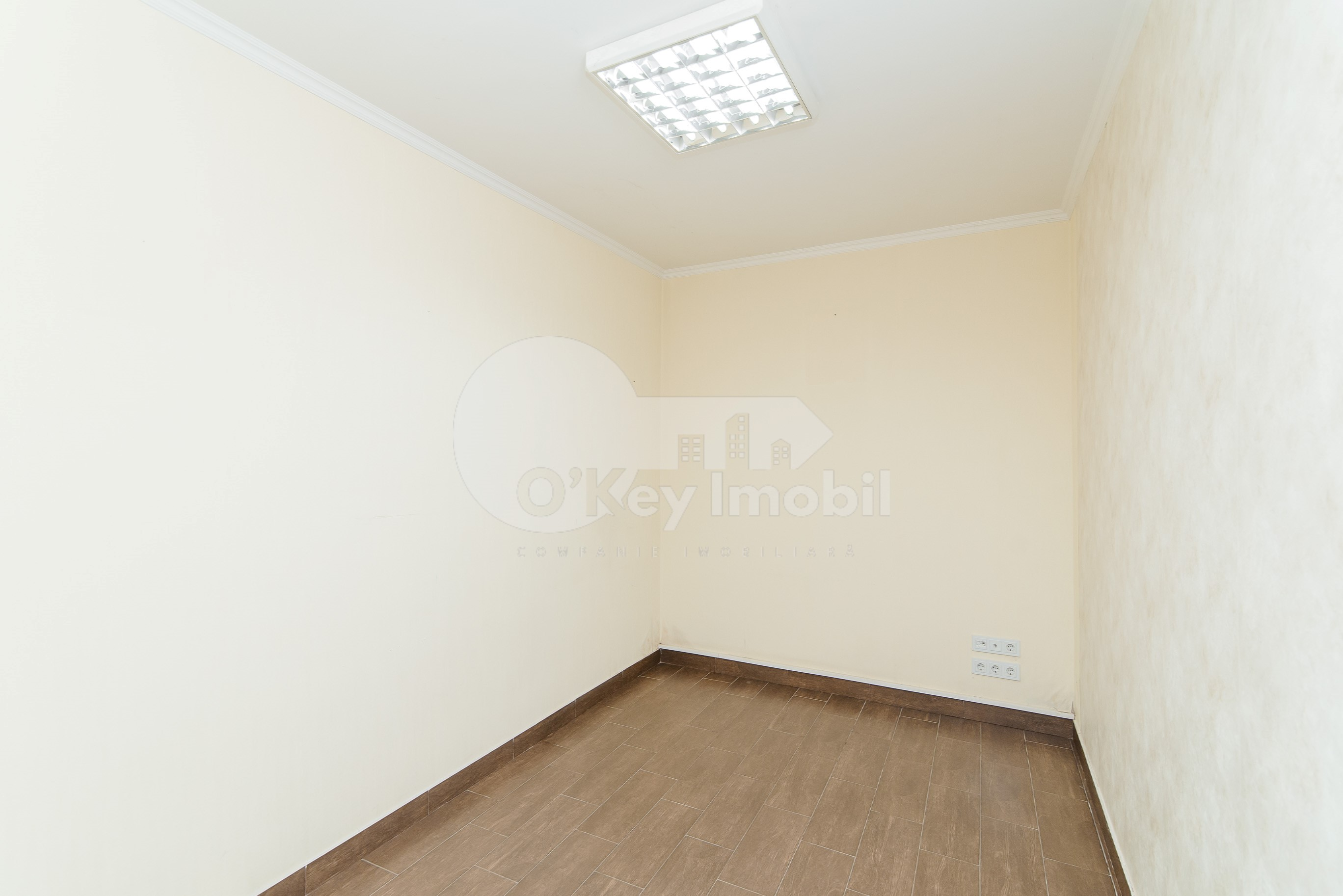 Spațiu comercial, Centru, ALBIȘOARA