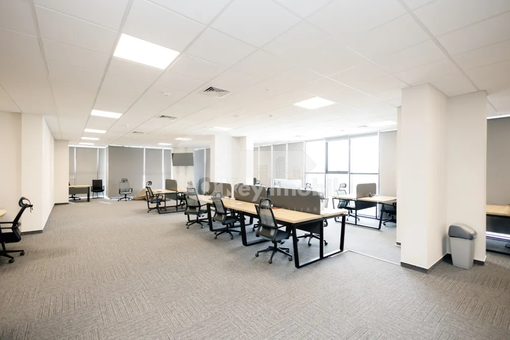 Офис, Центр, МИХАЙ ВИТЯЗУЛ