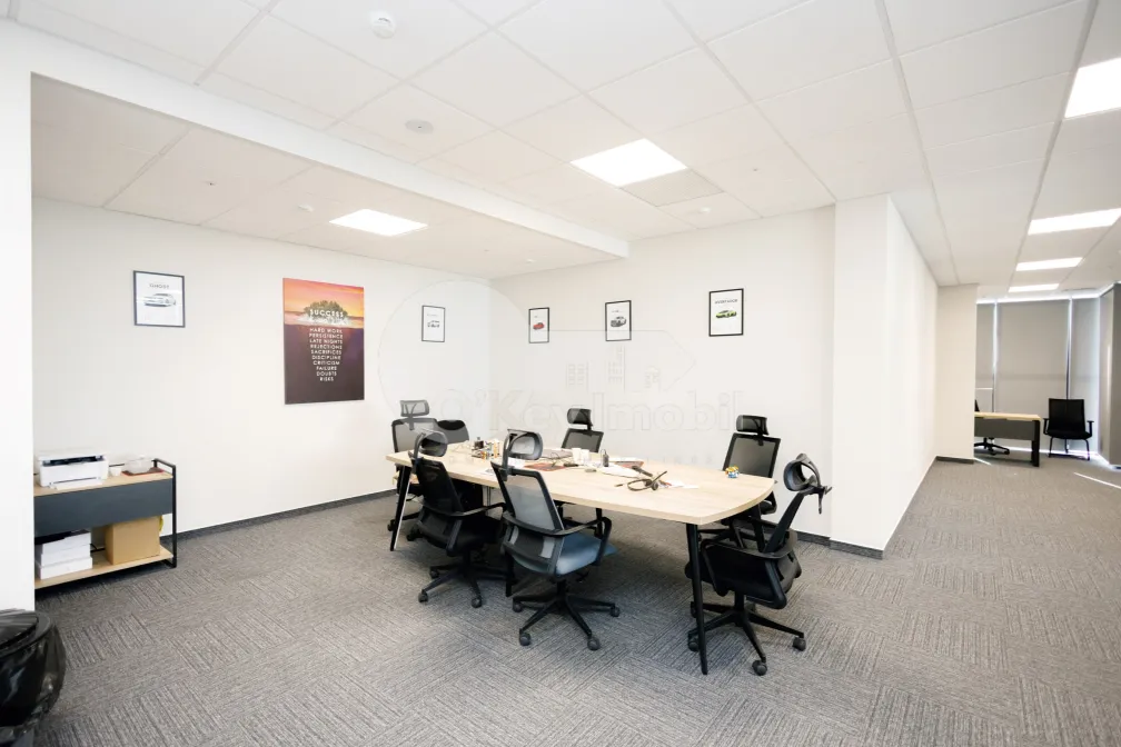 Офис, Центр, МИХАЙ ВИТЯЗУЛ