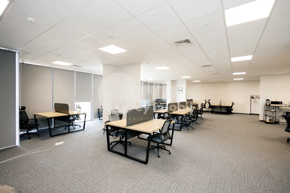 Офис, Центр, МИХАЙ ВИТЯЗУЛ