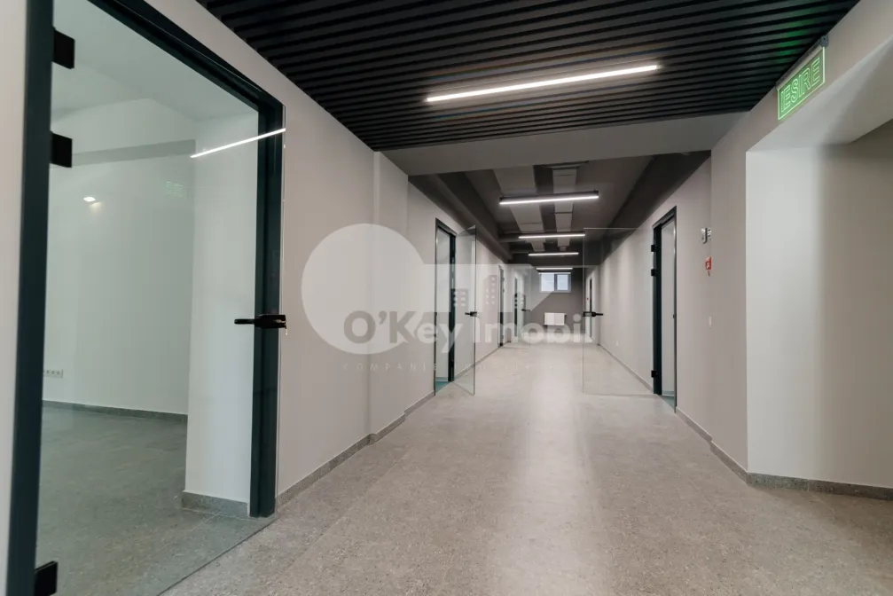 Комм. помещение, Центр, МИТРОПОЛИТ ДОСОФТЕЙ