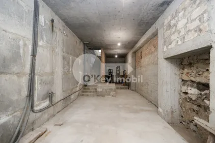 Комм. помещение, Центр, ПУШКИНА