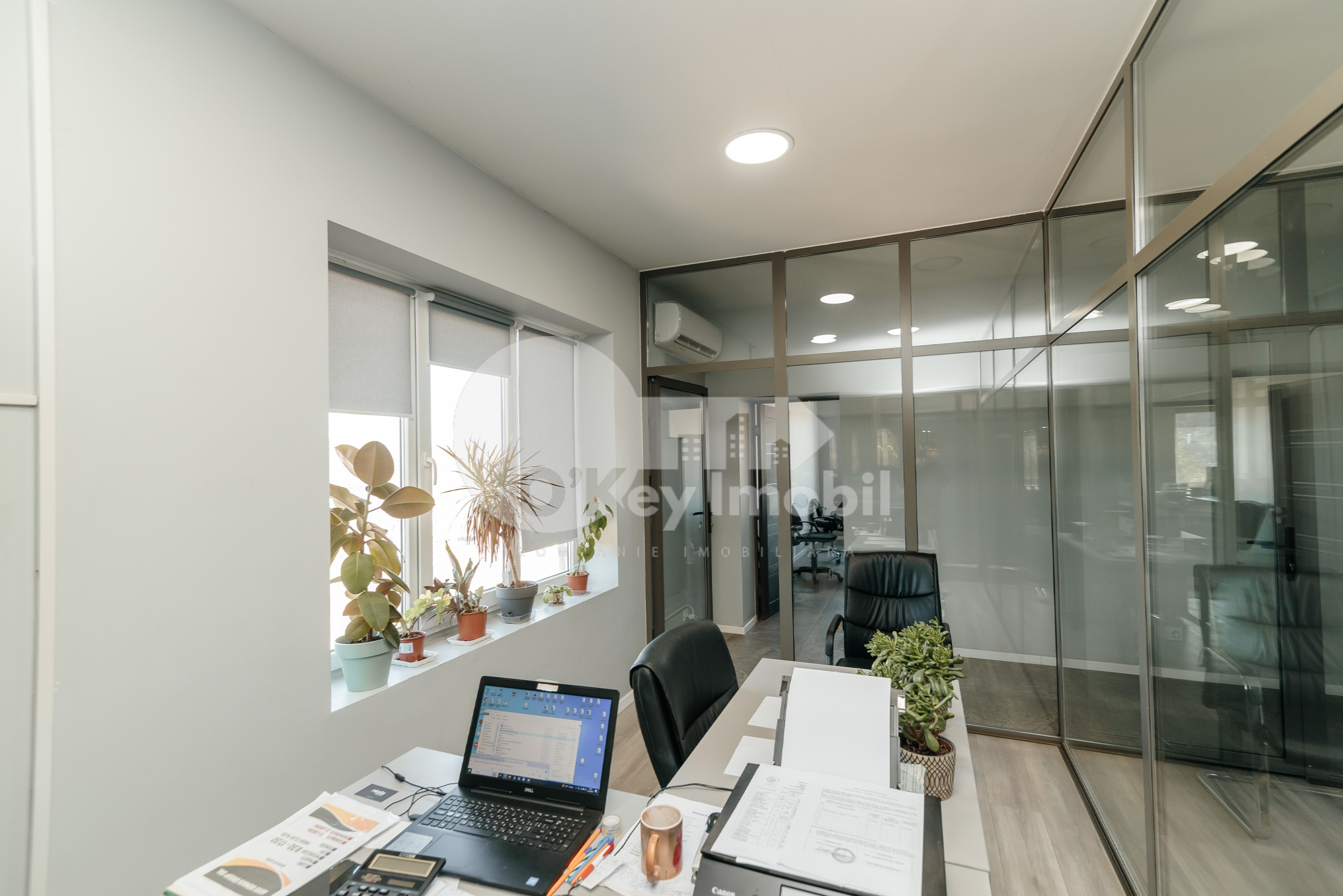 Oficiu, Botanica, MUNCEȘTI