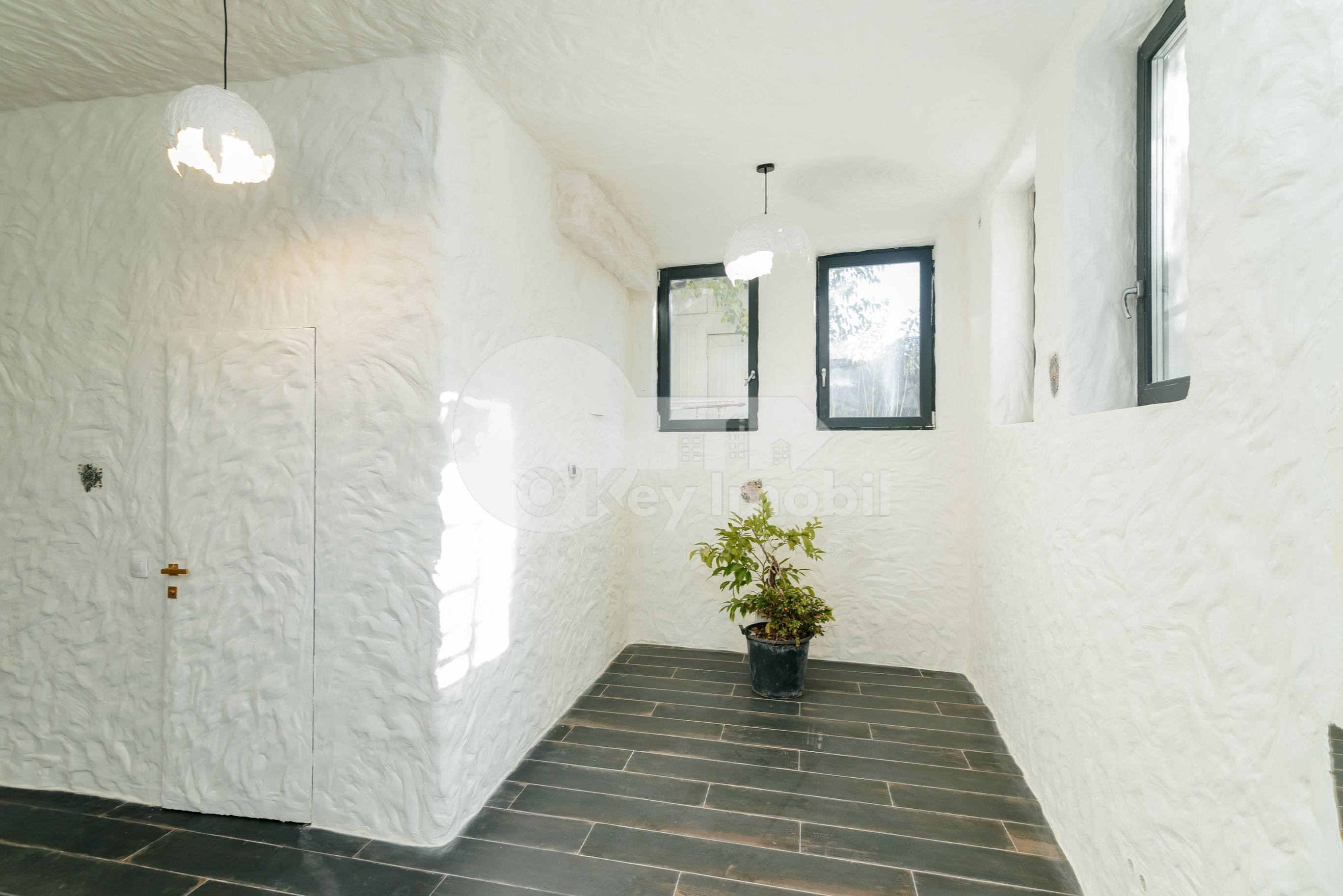 Oficiu, Centru, ALEXEI MATEEVICI