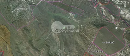 Земельный участок, ТРУШЕНЫ