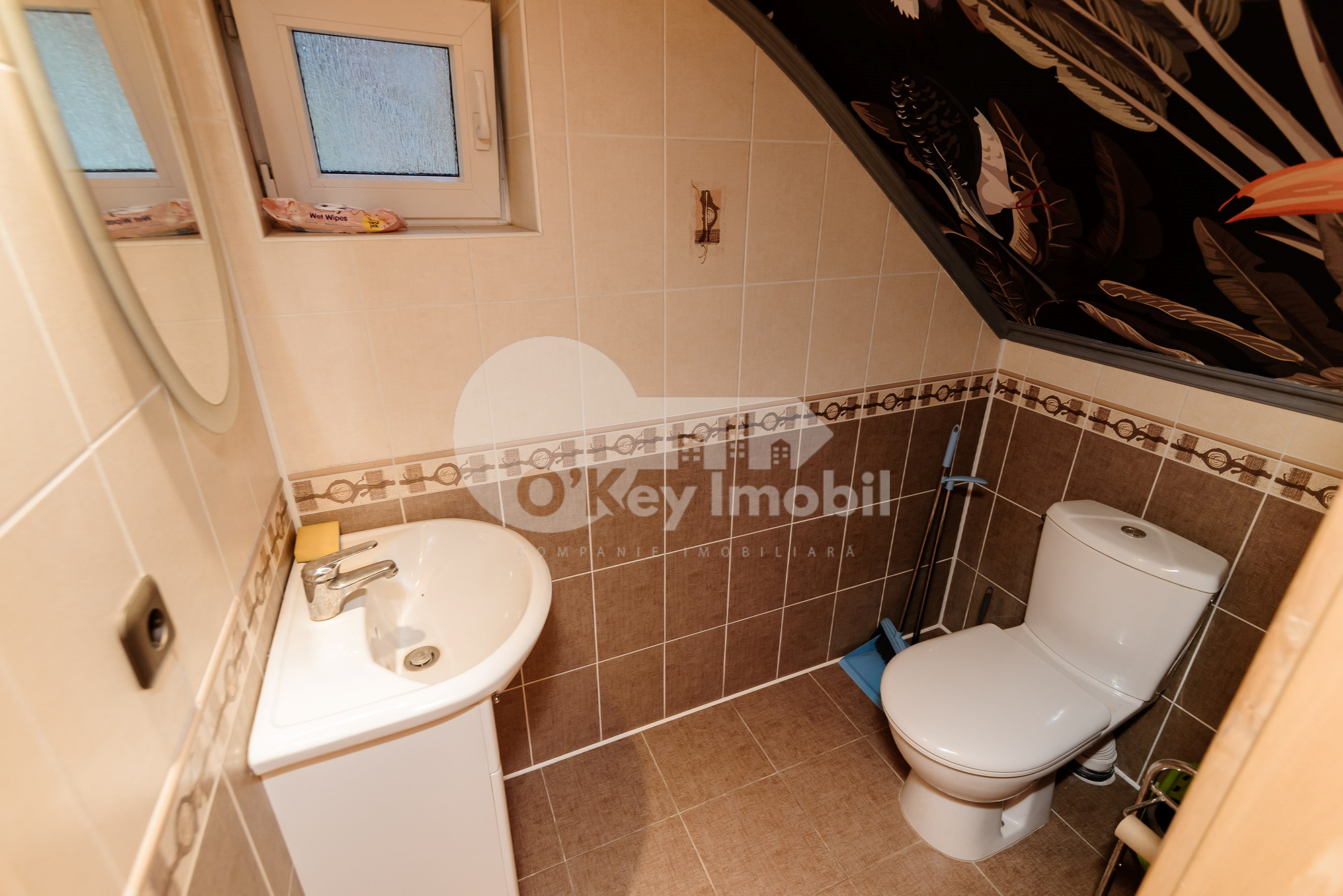 Casă, Telecentru, GHEORGHE ASACHI