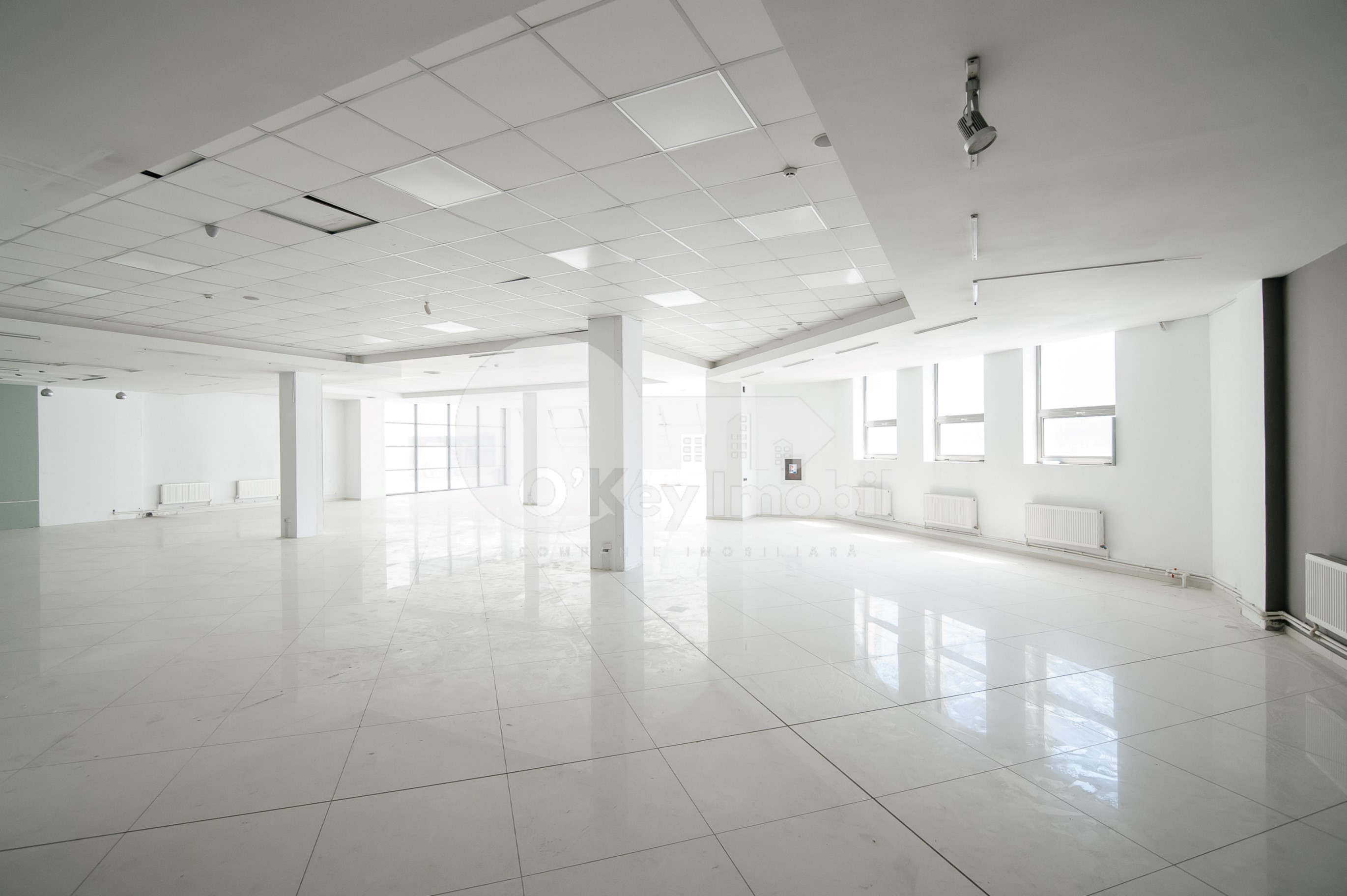 Spațiu comercial, Botanica, DECEBAL