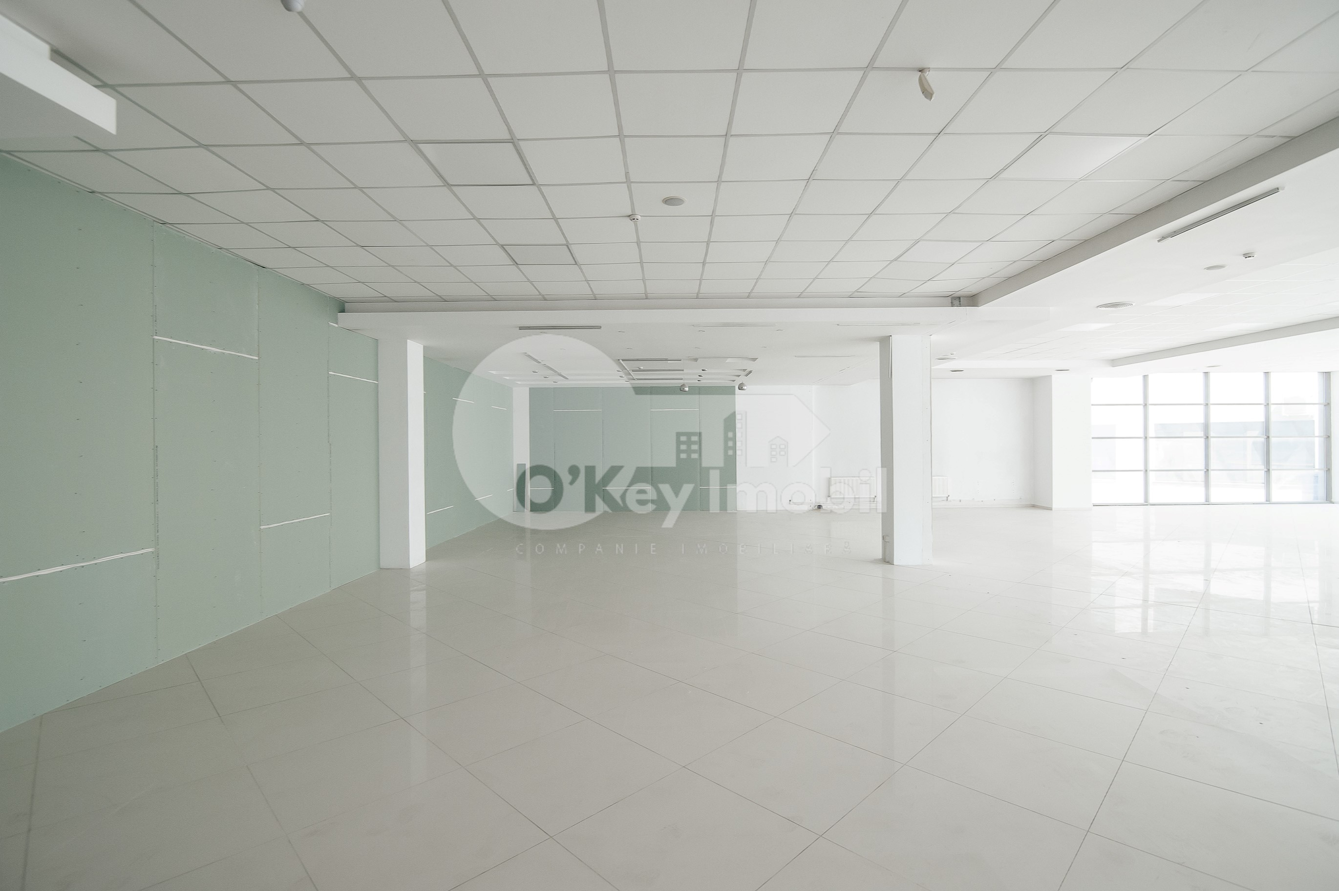 Spațiu comercial, Botanica, DECEBAL