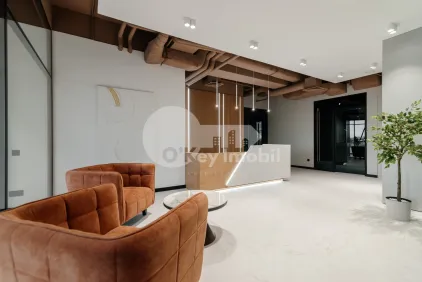 Комм. помещение, Центр, ШТЕФАН ЧЕЛ МАРЕ