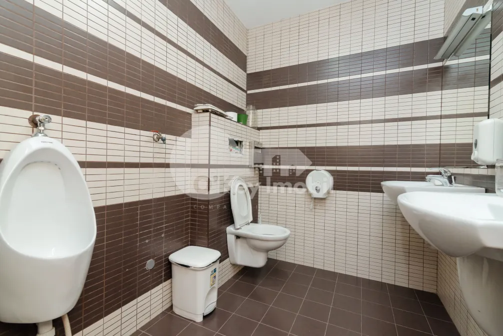 Офис, Центр, ШТЕФАН ЧЕЛ МАРЕ