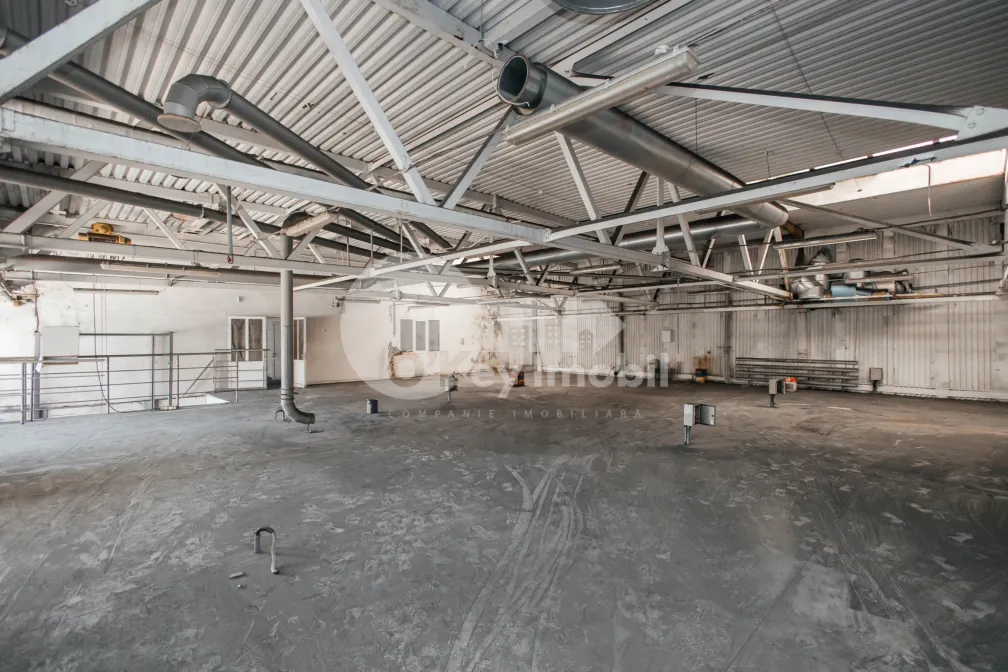 Склад, Чеканы, ИНДУСТРИАЛЭ