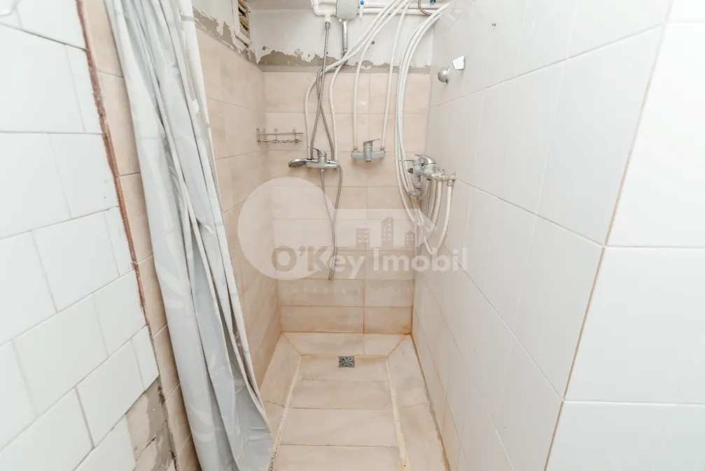 Квартира, Ботаника, ФРУМУШИКА