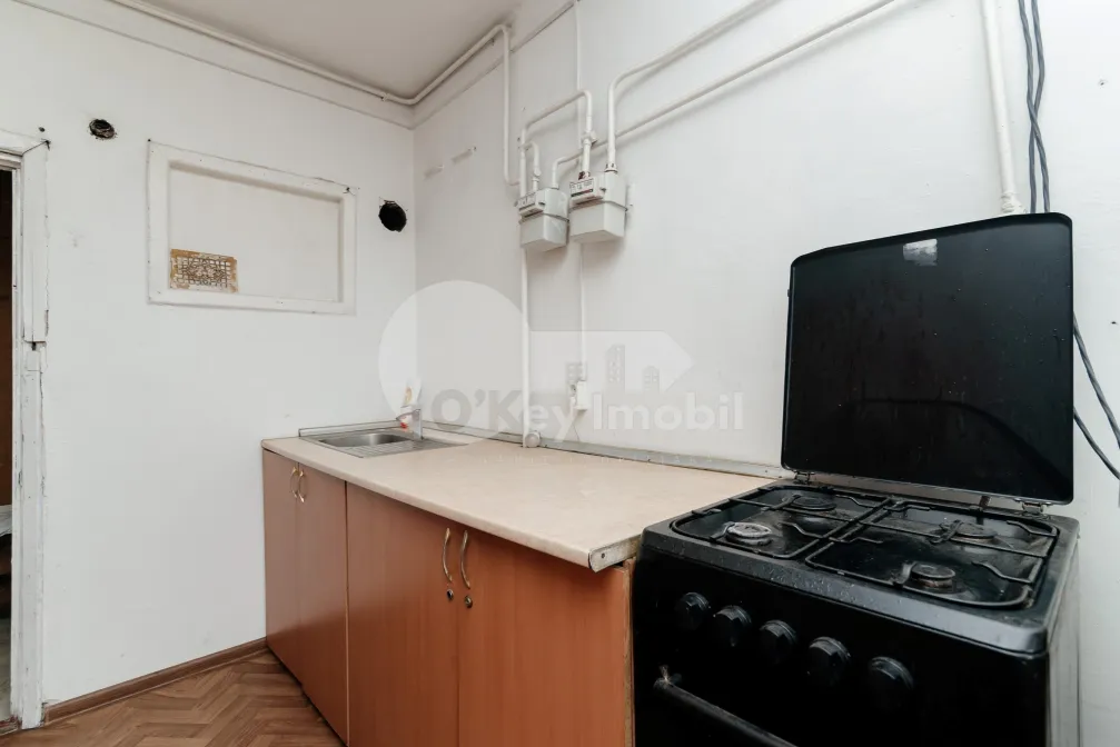 Квартира, Ботаника, ФРУМУШИКА