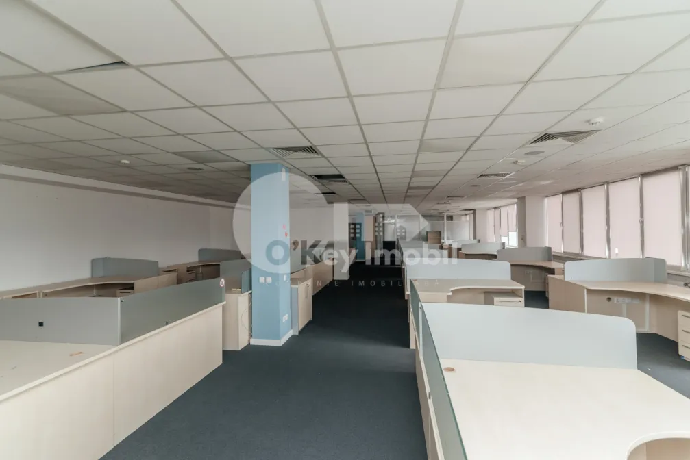 Офис, Буюканы, КАЛЯ ЕШИЛОР